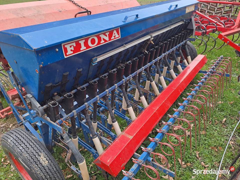 Siwnik reform semo fiona nordsten 25 metra Limanowa