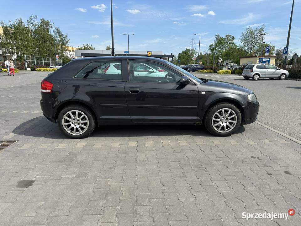 Audi A3 8P 16 MPI 102 2008r Bezwypadkowy Bez aluminiowe felgi mazowieckie Piaseczno