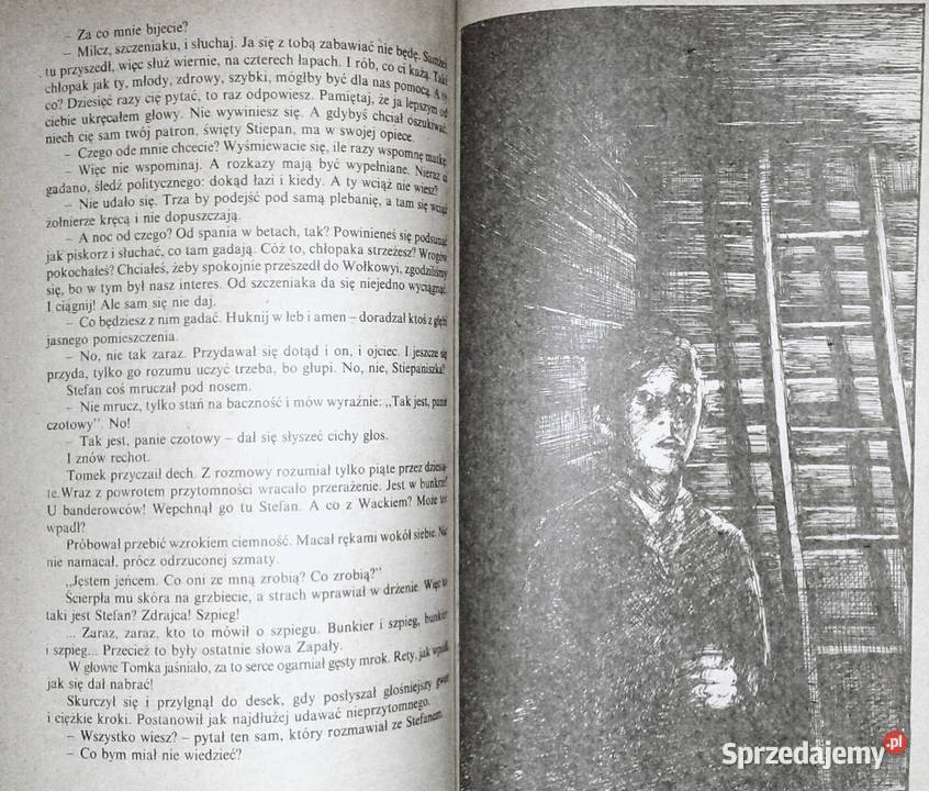 Ślady rysich pazurów Wanda Żółkiewska miękka