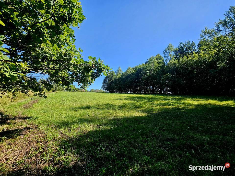 Działka 10503 ha Rzeczyca gm Kazimierz Dolny 10503m2
