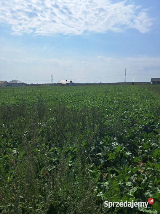 Działka budowalna 16a Gm Puchaczów Turowola