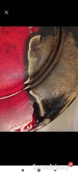 DEKORACYJNA PATERA ENERGETYCZNY AKCENT HAND MADE Pabianice