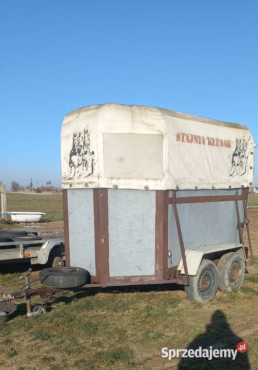 Przyczepa 2 osiowa do przewozu zwierząt wielkopolskie