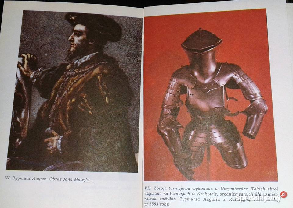 Na zygmuntowskim dworze Marek Hryniewicz Chełm