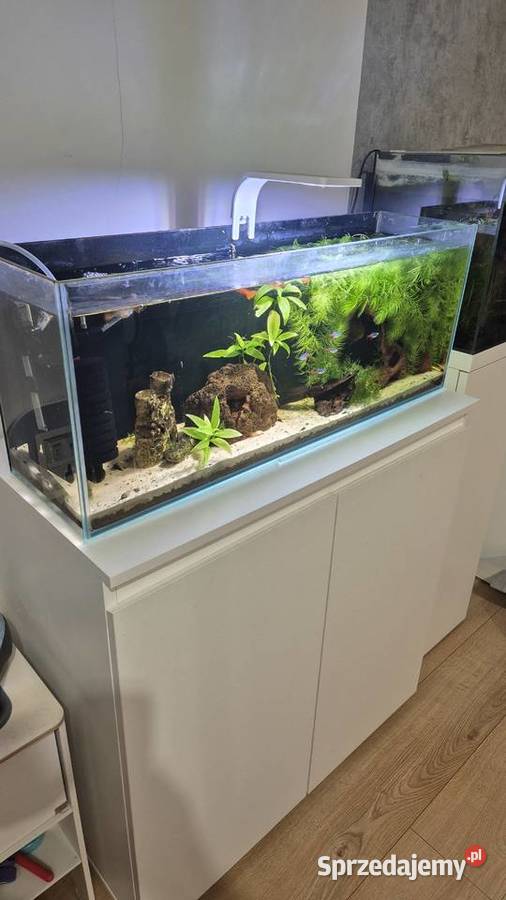 Akwarium z szafką i akwarium kostka dolnośląskie Siechnice
