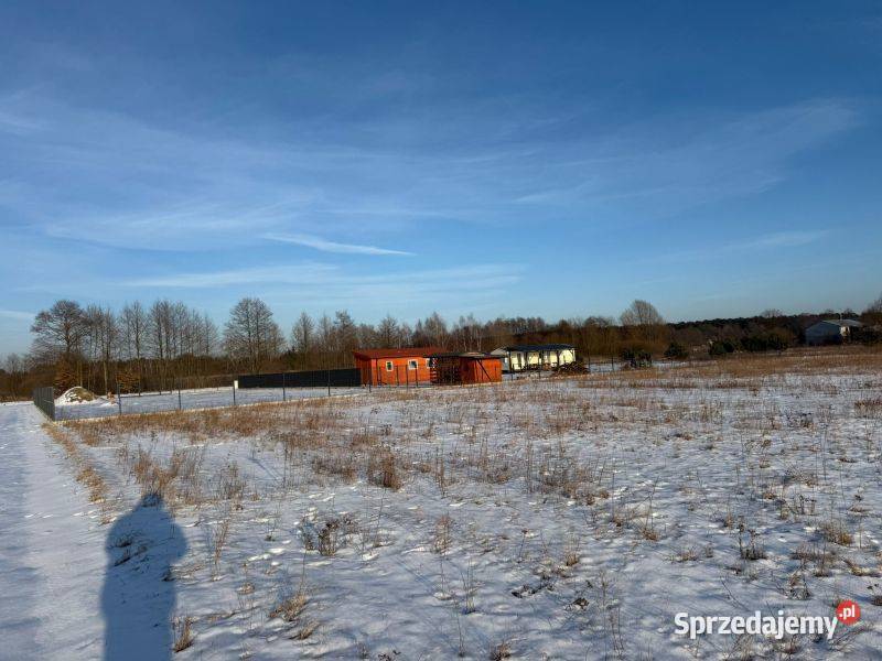 działki rekreacyjne jeziora Przytomne Sprzedaż mazowieckie Zuzinów sprzedam