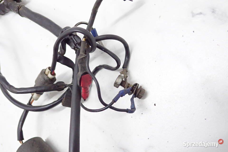 Instalacja Wiązka Elektryczna Czujnik