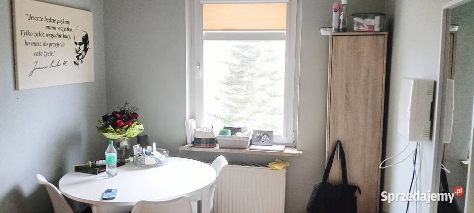 Mieszkanie bez czynszowe w Luzinie k Wejherowa pomorskie Luzino