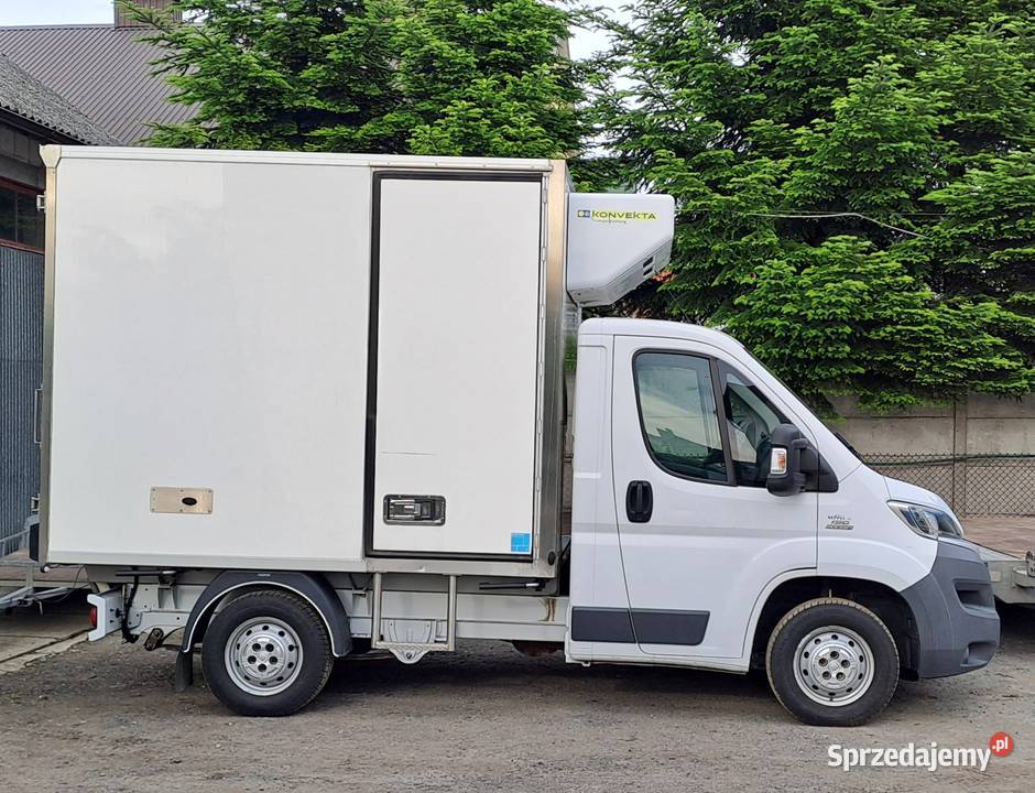 Fiat Ducato Chłodnia Mroźnia 2017r Stan IDEALNY Fiat Sandomierz