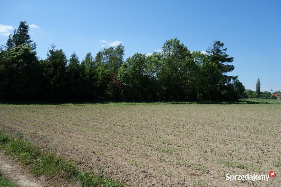 Skoczów Pruchna 115ha z prawem zabudowy w samym