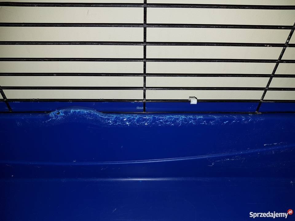 Klatka królika świnki morskiej etc sprzedam