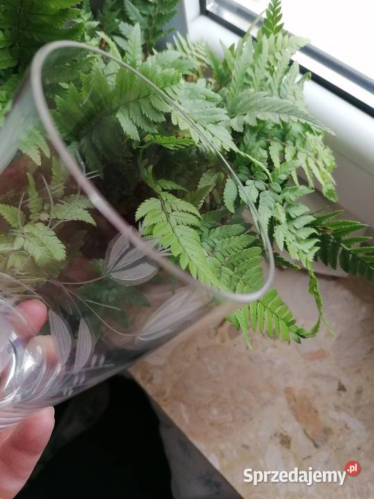 Stare szkło z PRL Mielec