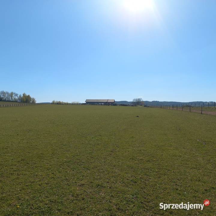 Sprzedam gospodarstwo szambo