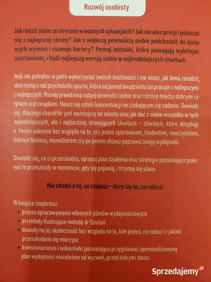 Wróć do gry Dany Sinclair Wrocław