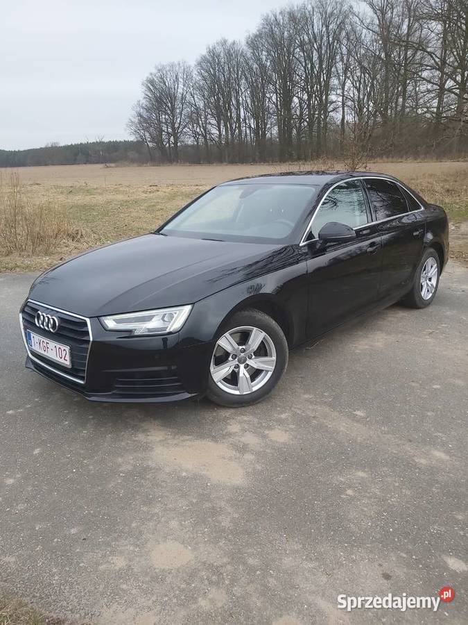 A4 Sedan 2019r 20TDI Automat Brązowe Skóry przyciemniane szyby Syców