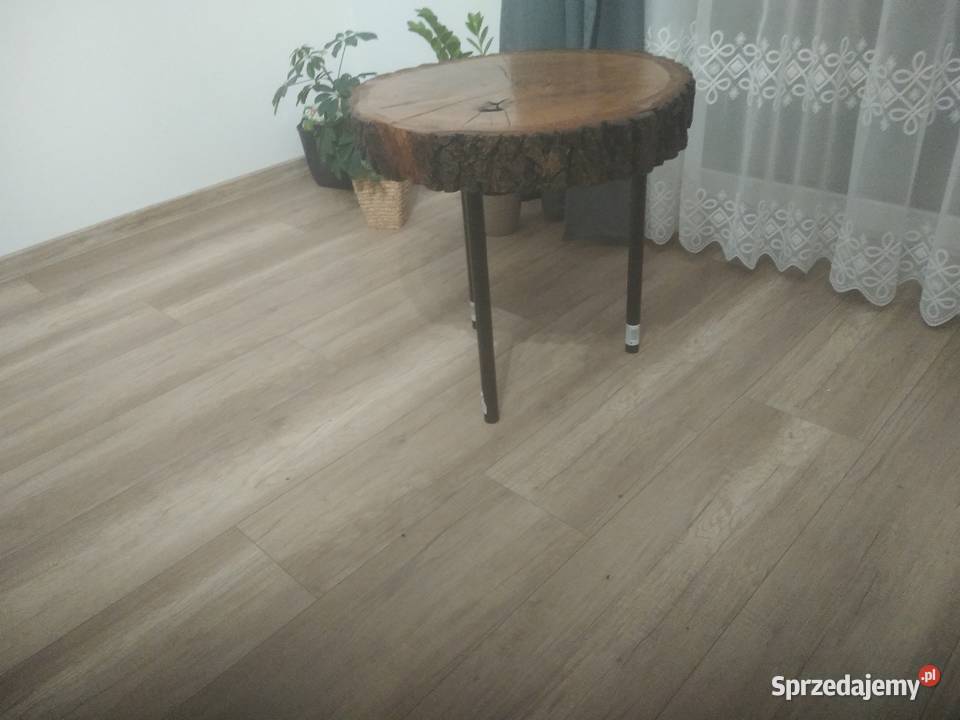 Sprzedam stolik kawowy dębowy 50cm świętokrzyskie Pińczów