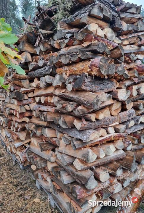 Drzewo opałowe brzoza i sosna sezonowane 4 lata Ogrzewanie Zagościniec