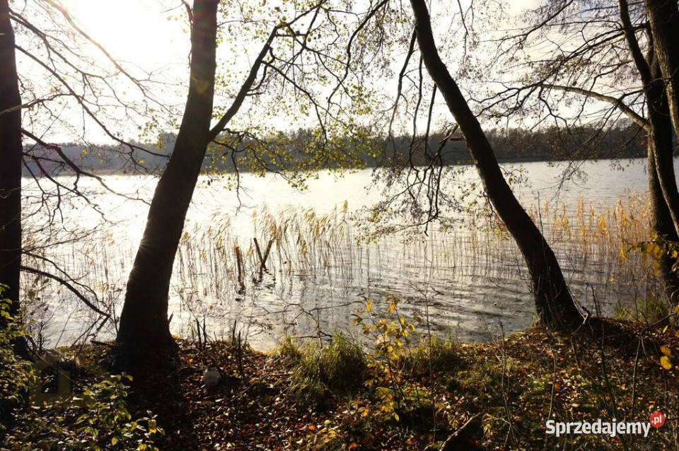 Działka z linią brzegową jeziora
