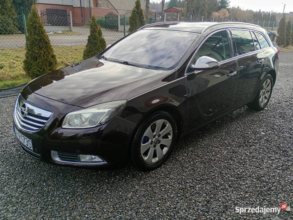 Opel Insignia 20d 160 śląskie
