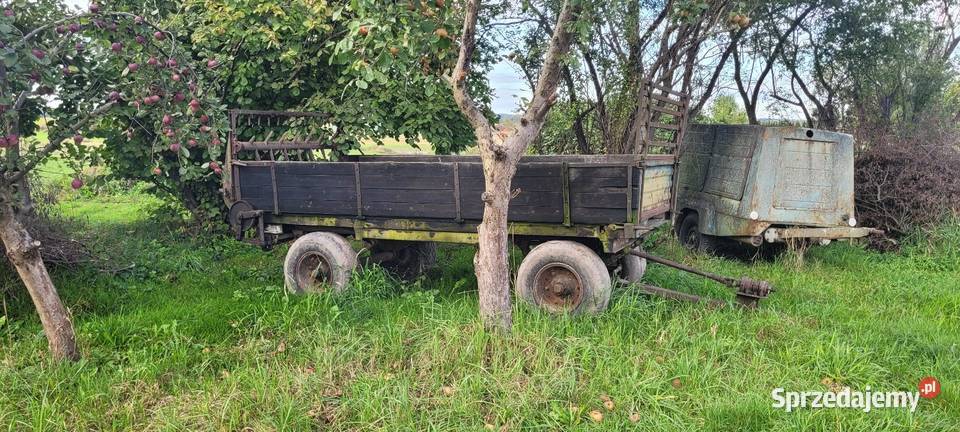 Rozrzutnik czarna białostocka sprzedam