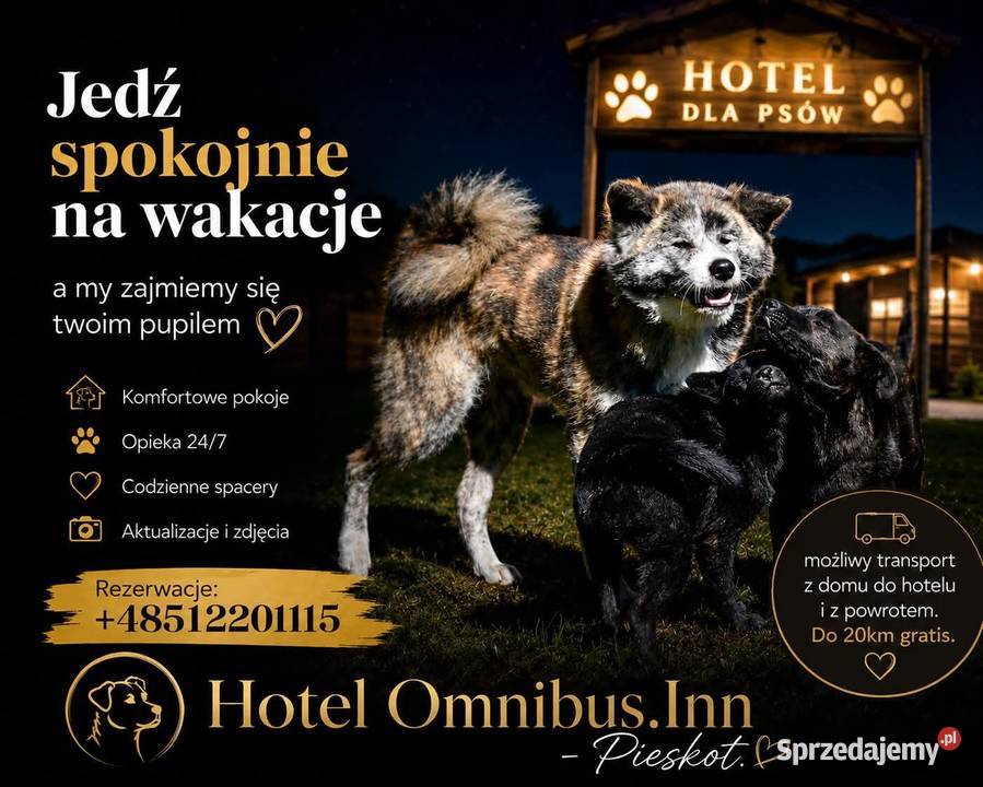 Hotel dla Psów