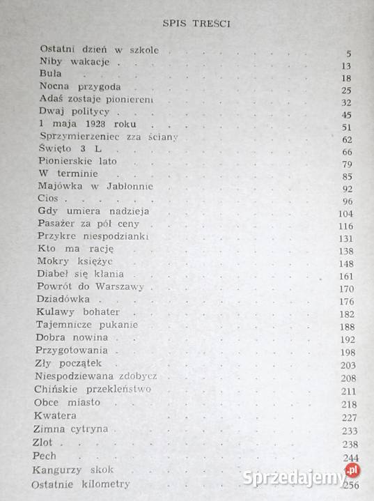 Mały chłopiec na wielkiej drodze Maria Szulecka Chełm