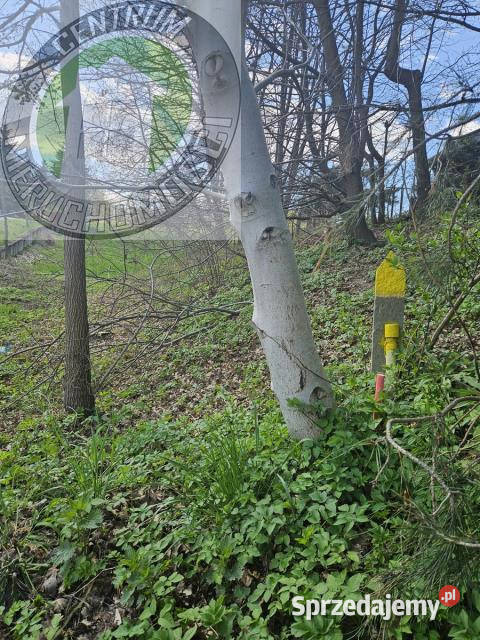 Do sprzedaży działka Nowy Sącz 2342m2