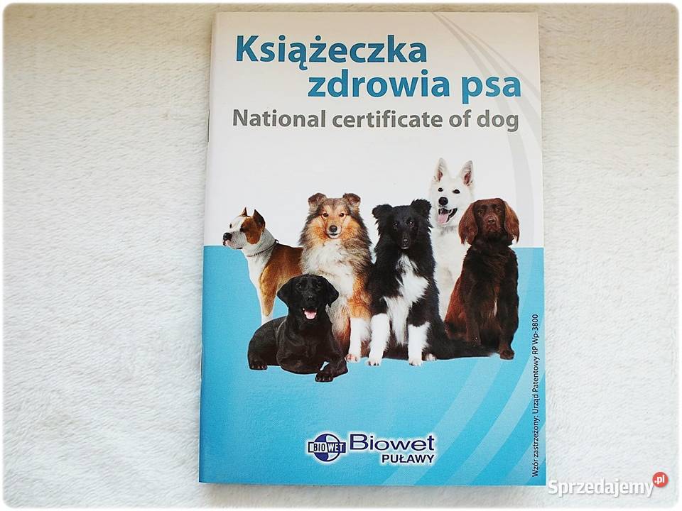 Książeczka Zdrowia Psa rasy średniej mix ras Lubsko