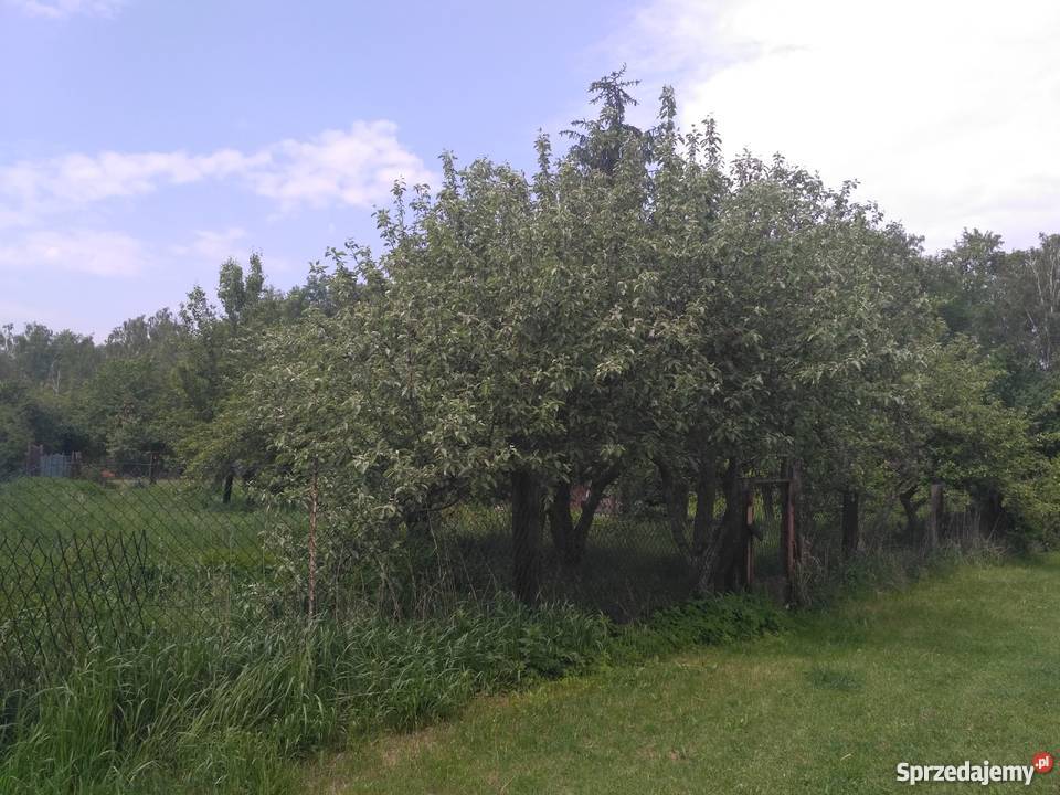 Ogródek działkowy Chorzów