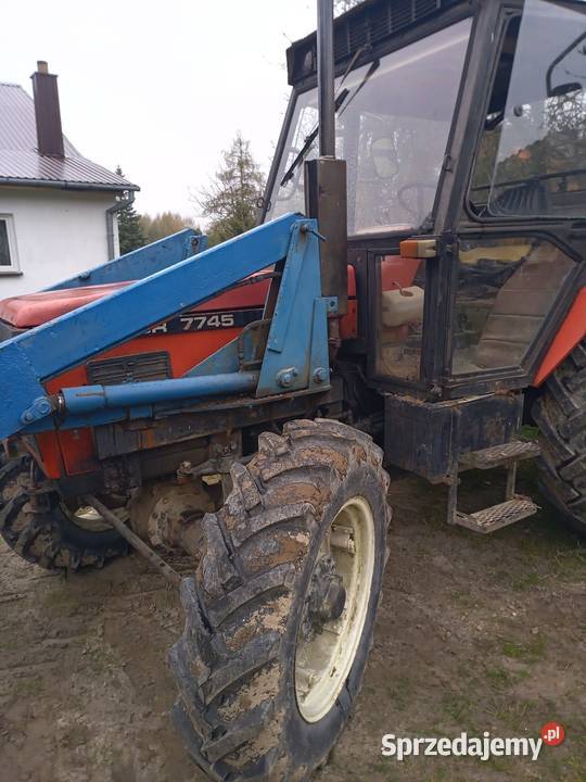Ciognik Tomaszów Lubelski