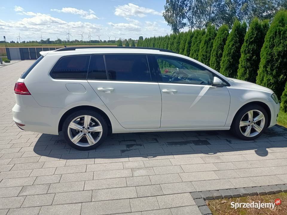 volkswagen golf 7 16 TDI Stegna