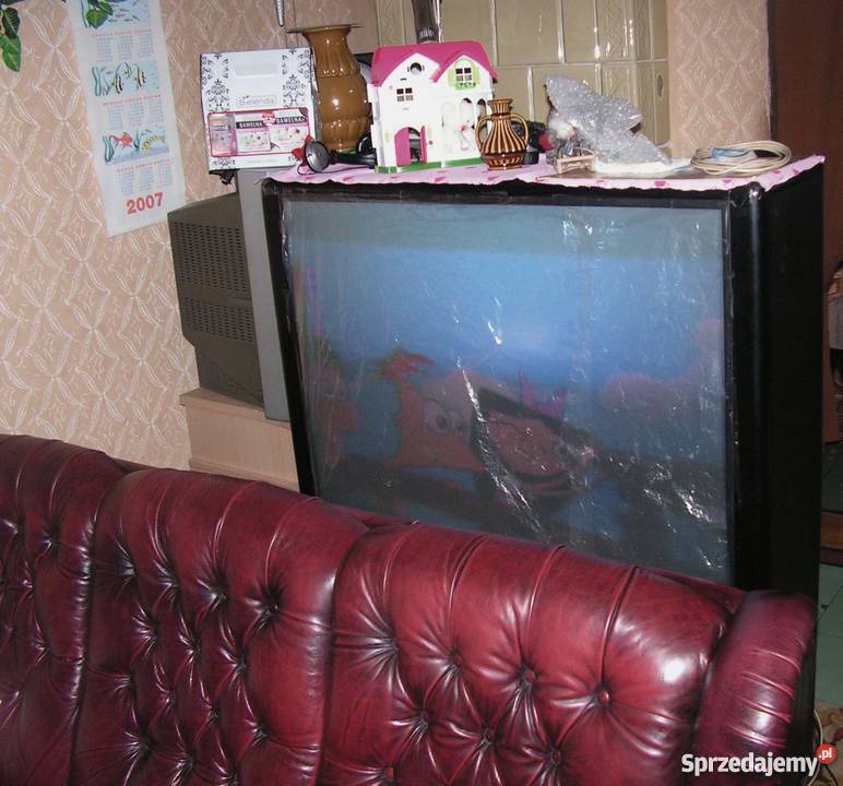 TV Thomson