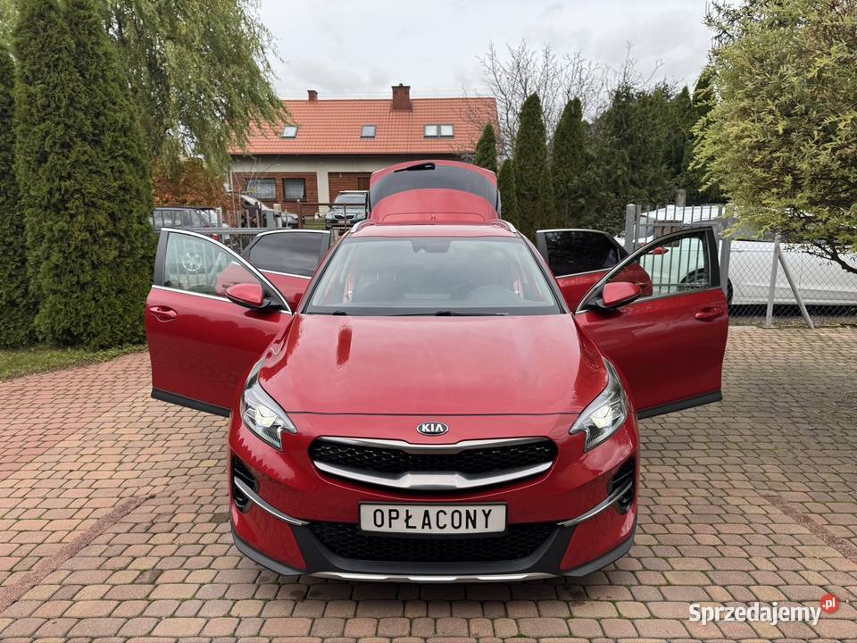 Kia XCeed 2021 Kamera Czujniki Alu Niski Kutno