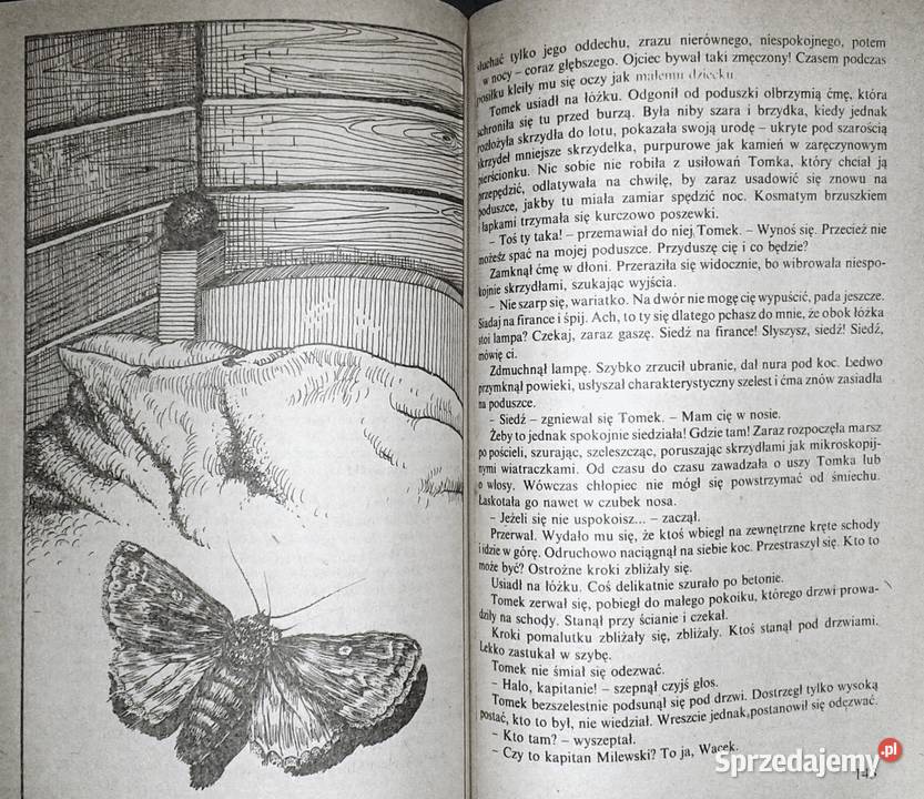 Ślady rysich pazurów Wanda Żółkiewska lubelskie Chełm