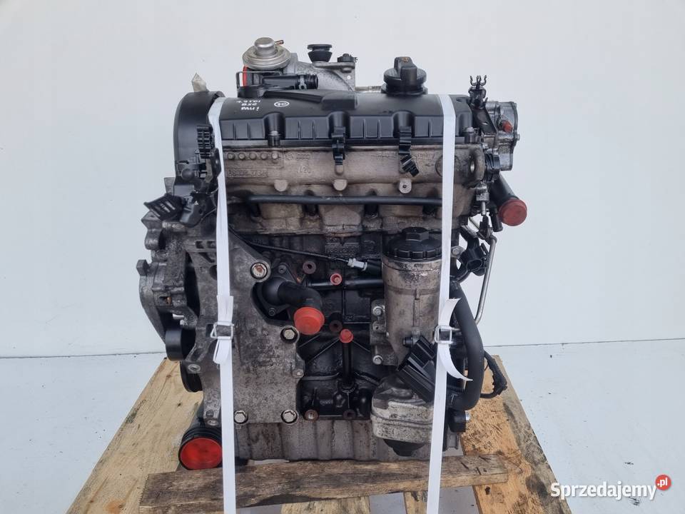 SILNIK KOMPLET VW Jetta V 19 TDI 105 ładnie Chełm