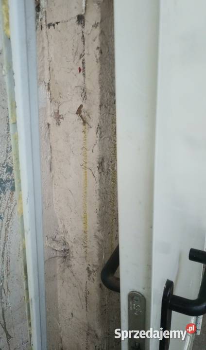 Drzwi PPOŻ 206X94 koloru białego Poznań