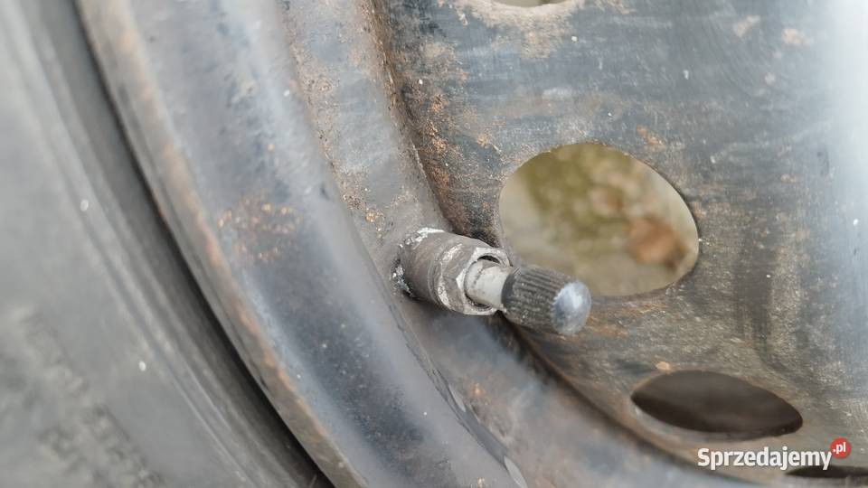 Felgi stalowe z czujnikami 16 Średnica 16" opolskie Korfantów