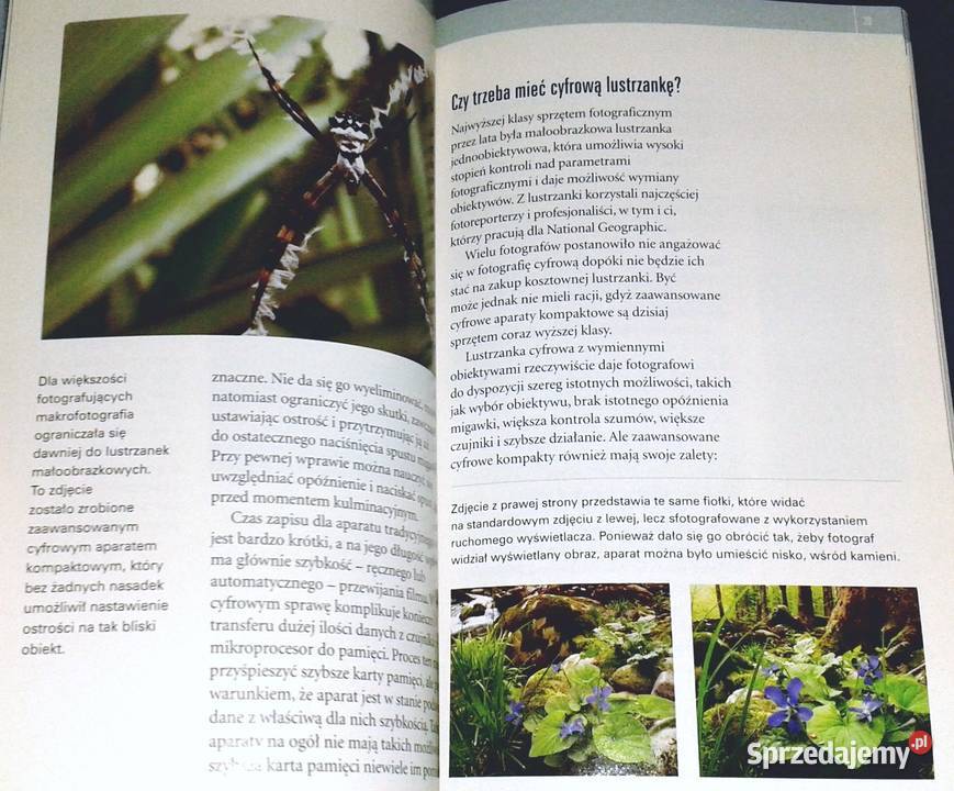 Szkoła fotografowania National Geograohic Cz 1 lubelskie Chełm