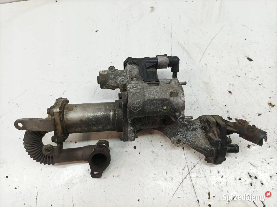 CHŁODNICA SPALIN 70036605 15 DCI Renault Scenic Recyrkulacja spalin EGR świętokrzyskie