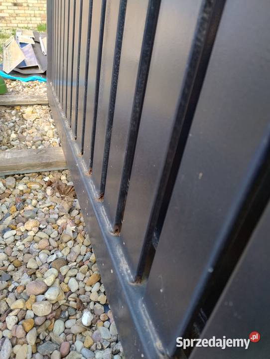Bramy rozwierne palisadowa 300x160 skrzydłowa lubuskie Kostrzyn nad Odrą sprzedam