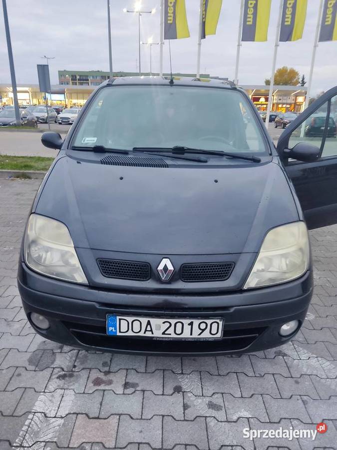 Scenic Renault