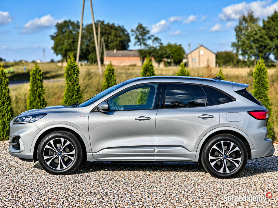 Ford Kuga III 2019 2000cm3 Sadlno