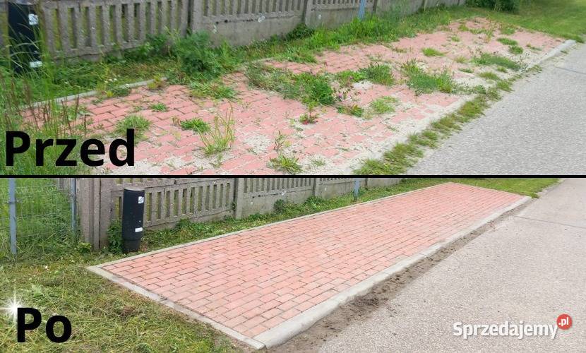 wycinka drzew usługi rębakiem karczowanie Częstochowa