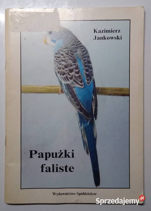 Papużki faliste Kazimierz Jankowski sprzedam