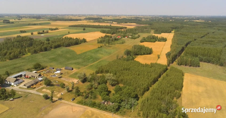 Sprzedam bezpośrednio działkę 5700m2 w otoczeniu 17zł/m2 Teodorowo
