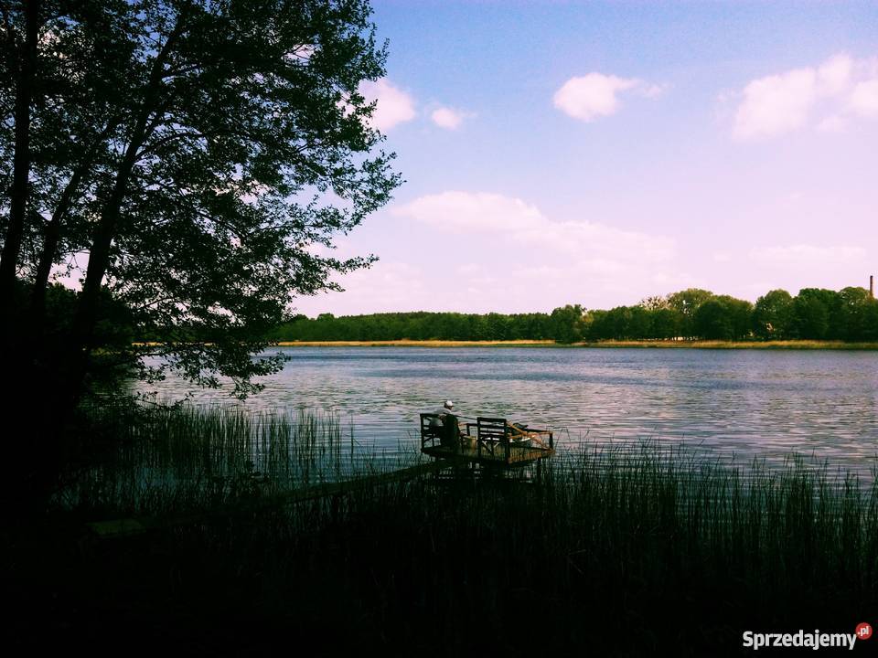 Działka leśna jeziorem w Starym Kramsku 25m