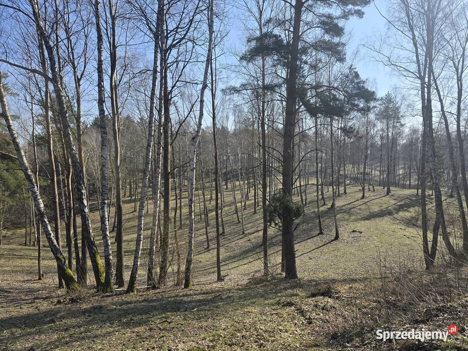 Budowlana jeziorem Dąbrowa 3362m2 Sprzedaż Lewałd Wielki