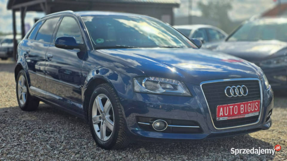 Audi A3 climatronic super stan automat ledy automatyczna Audi pomorskie