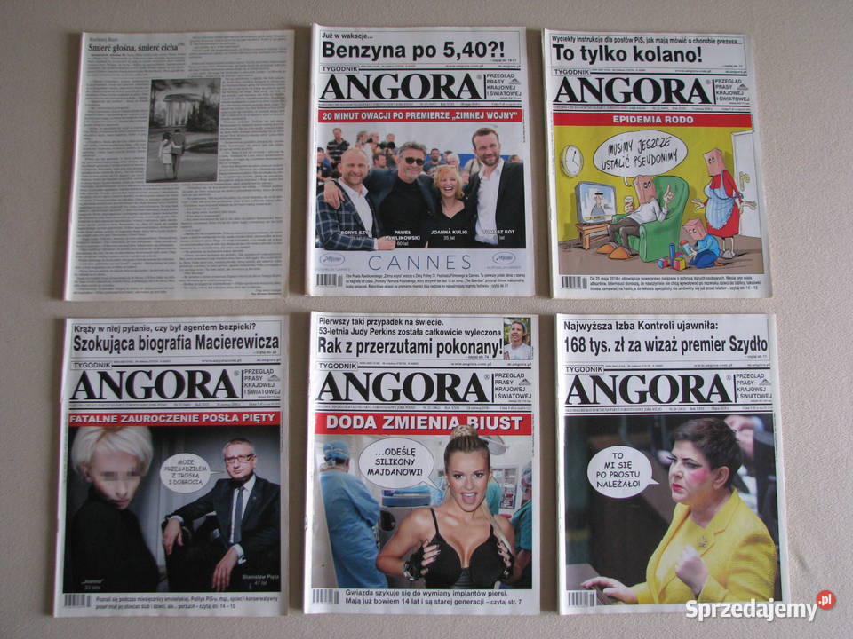 Angora tygodnik 2018 r miękka Brzegi