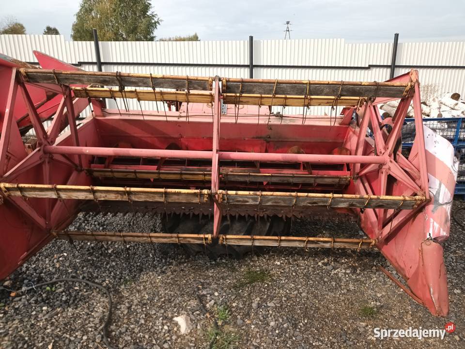 Heder do kombajnu Massey Ferguson 8687186187 Massey Ferguson Bukowie